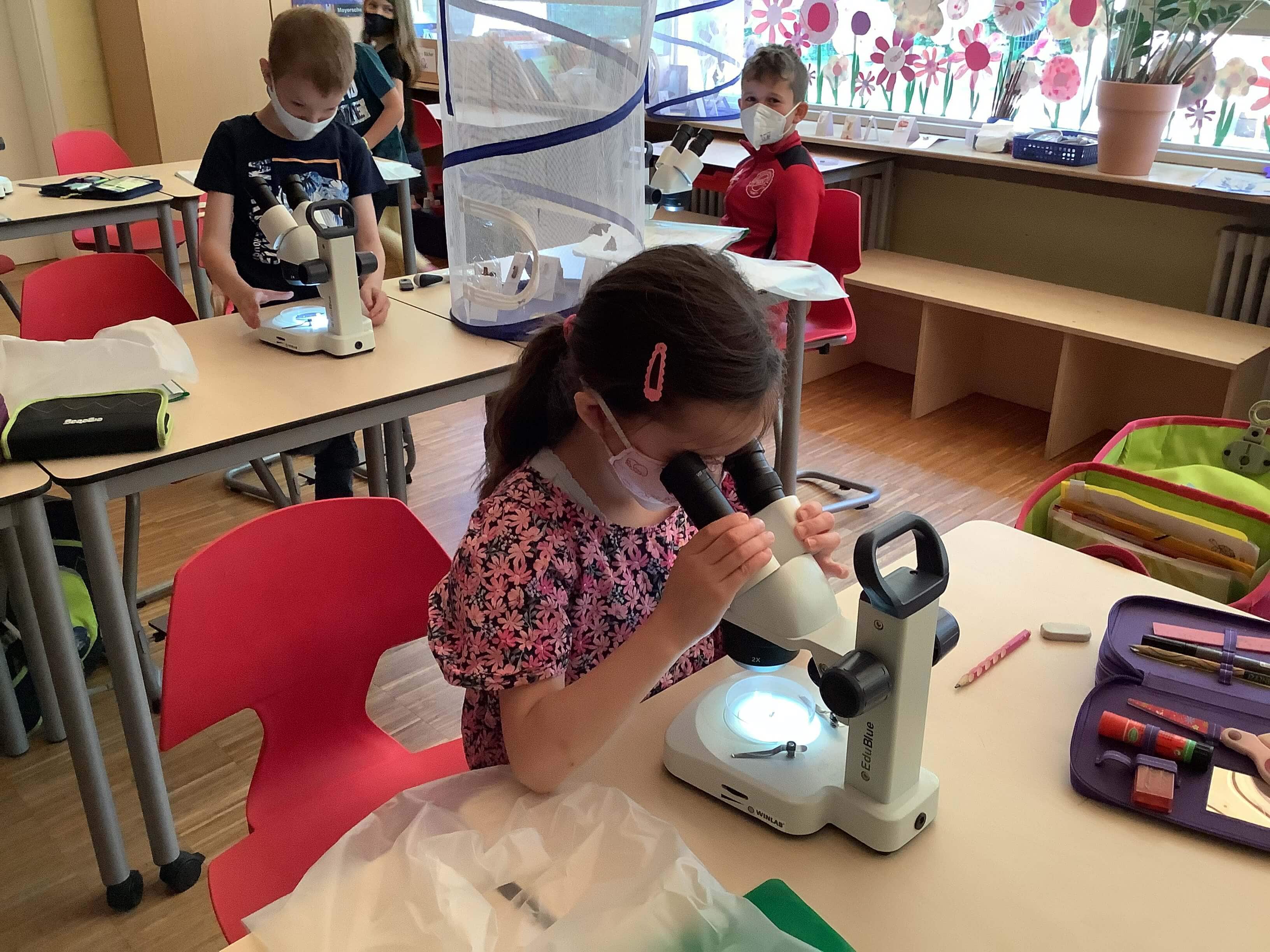 Girl looking into the microscope Girl looking into the microscope