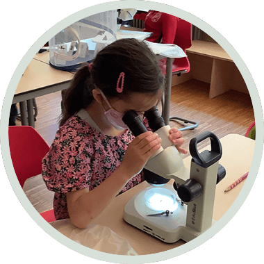 Science@School 2024 Science@School 2024