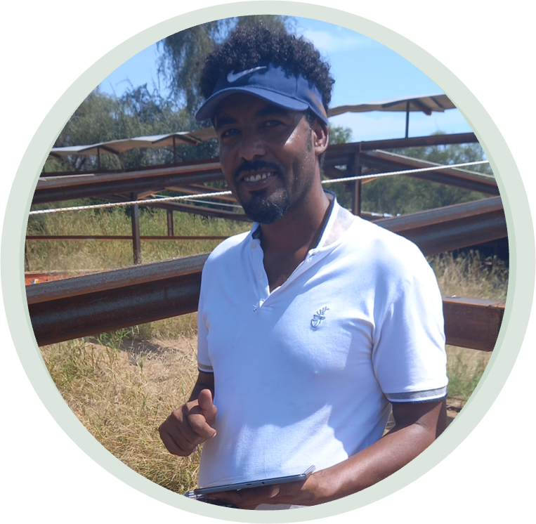 Haftay Hailu Gebremedhn Haftay Hailu Gebremedhn
