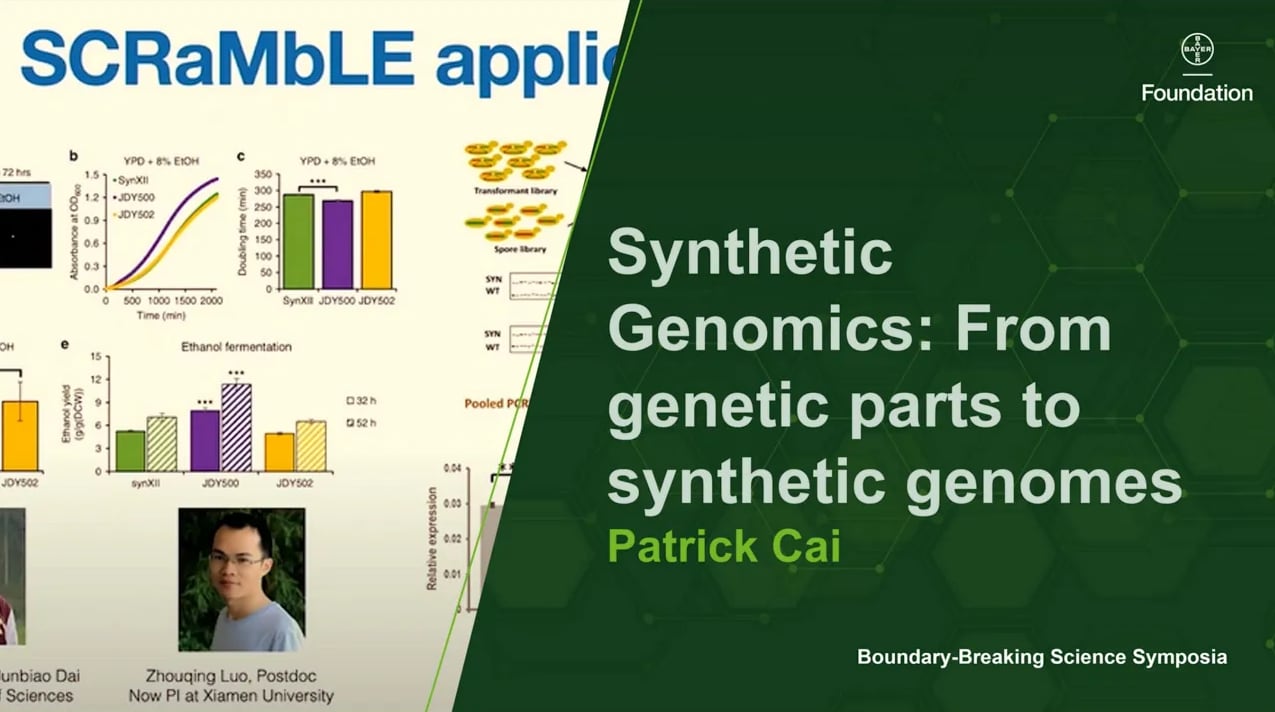 Bioethical considerations of gene editing & gene writing by Anne Miugai
