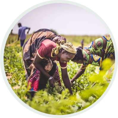 Bayer-Foundation-Report Bayer-Foundation-Report