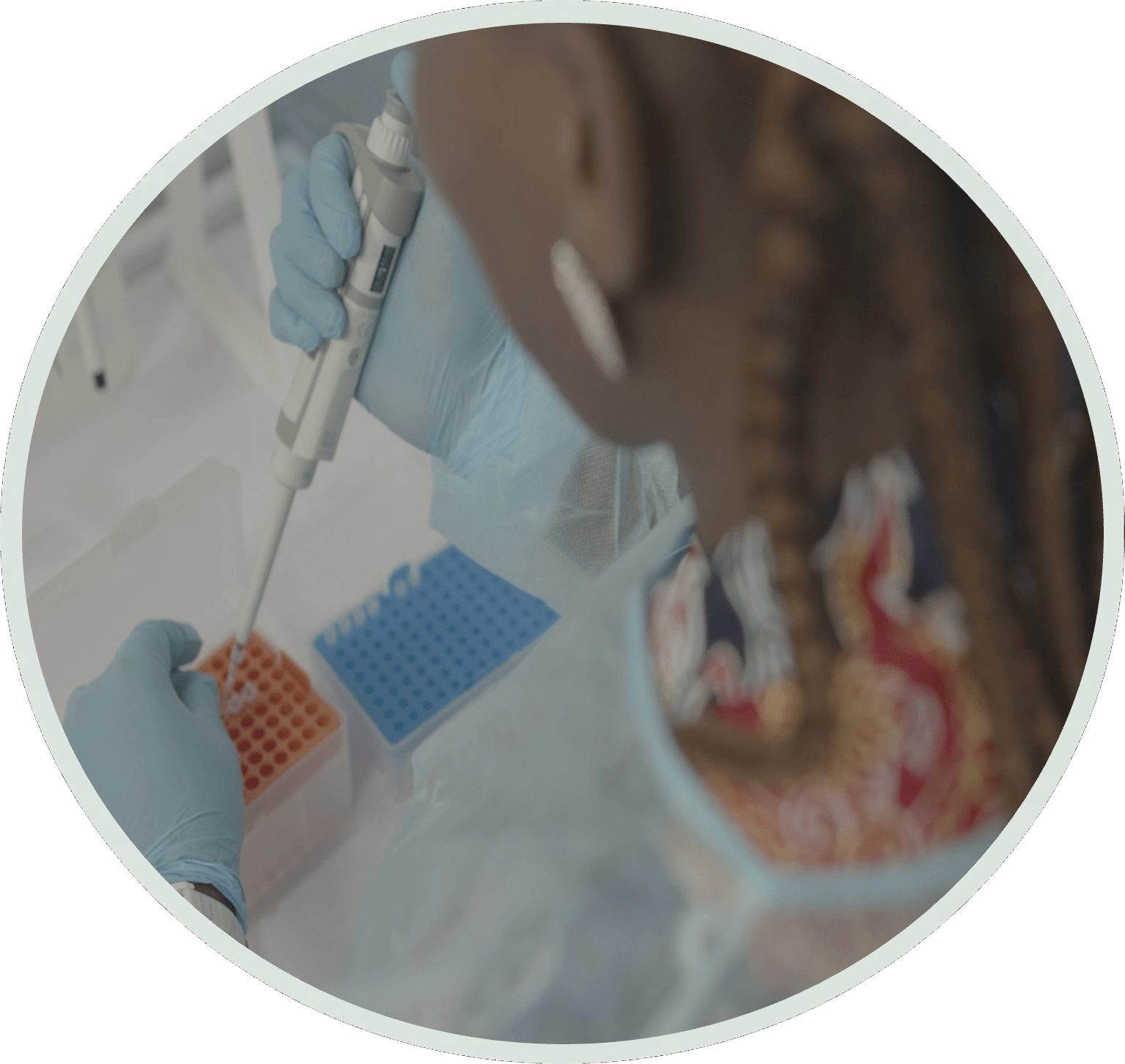Humboldt Research Hub:  African-German science partnerships for pandemic preparedness