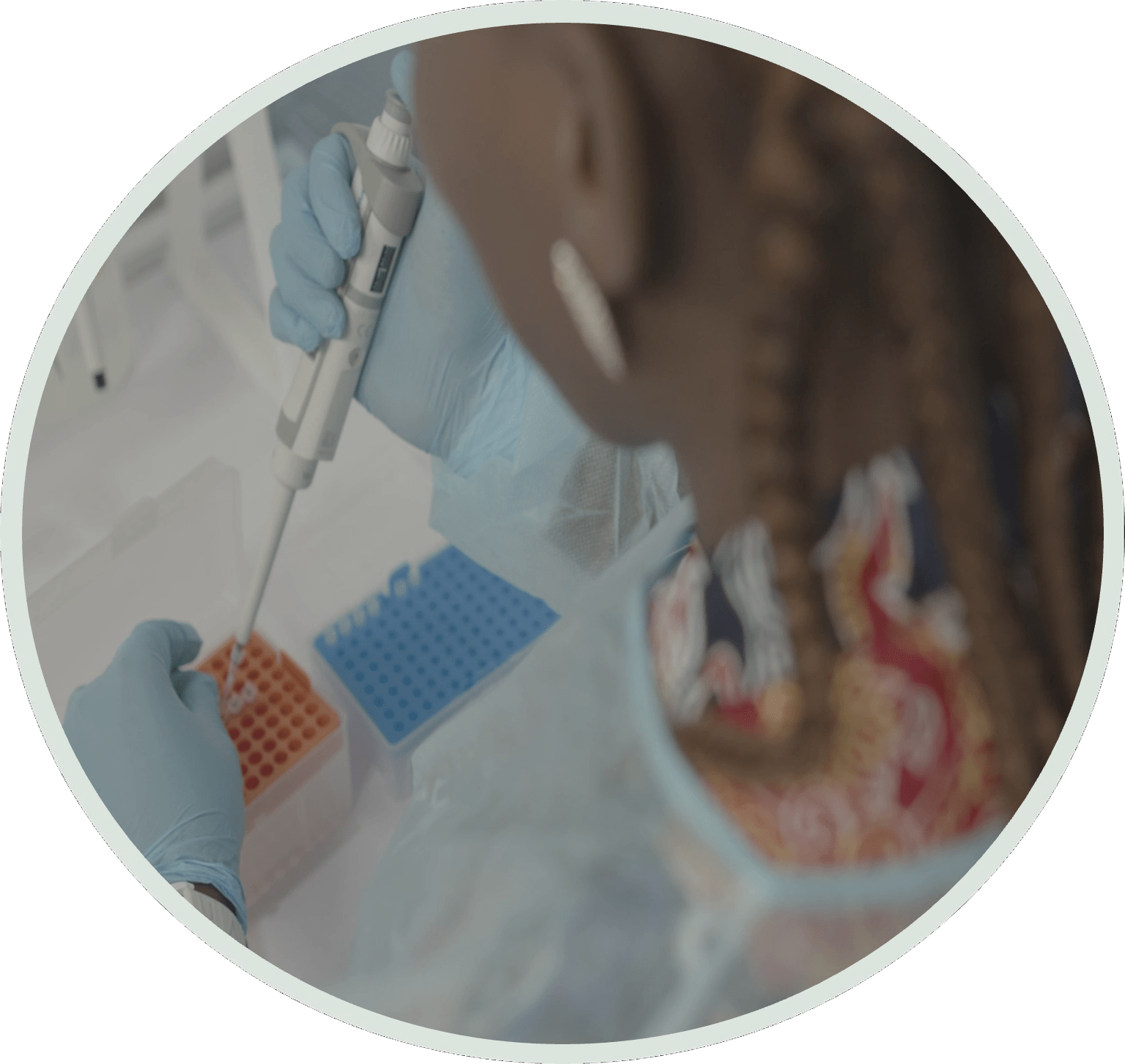 Humboldt Research Hub: African-German science partnerships for pandemic preparedness Humboldt Research Hub: African-German science partnerships for pandemic preparedness