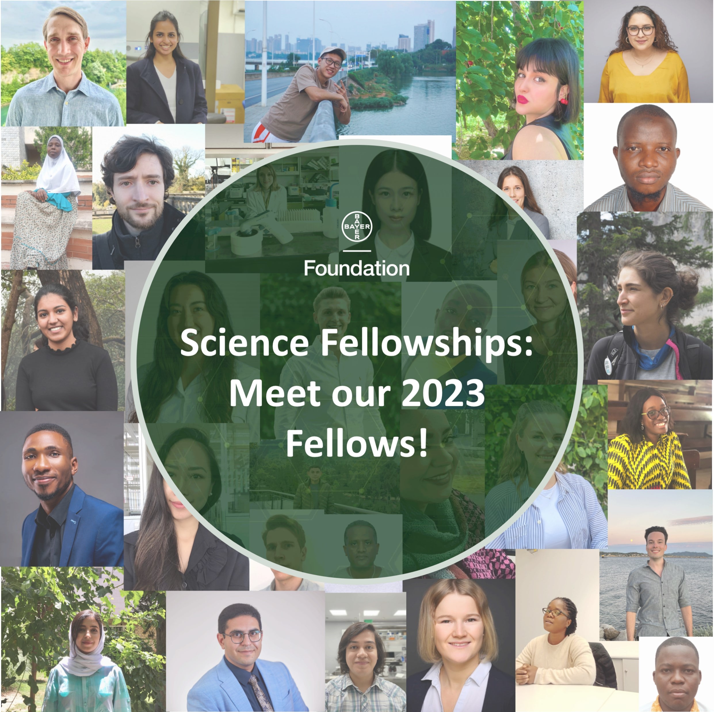 Fellows