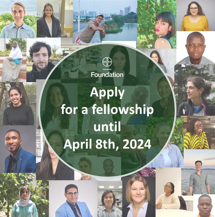 Fellows