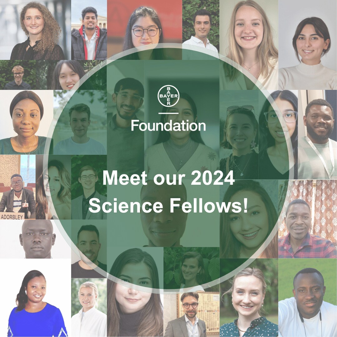 Fellows 2024