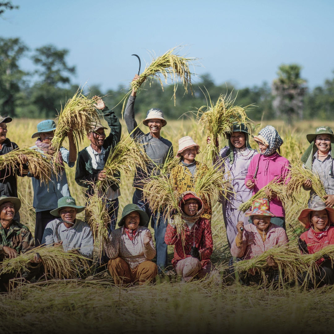 Safe Land, Sustainable Futures: Promoting Food Security Through Mine Clearance 