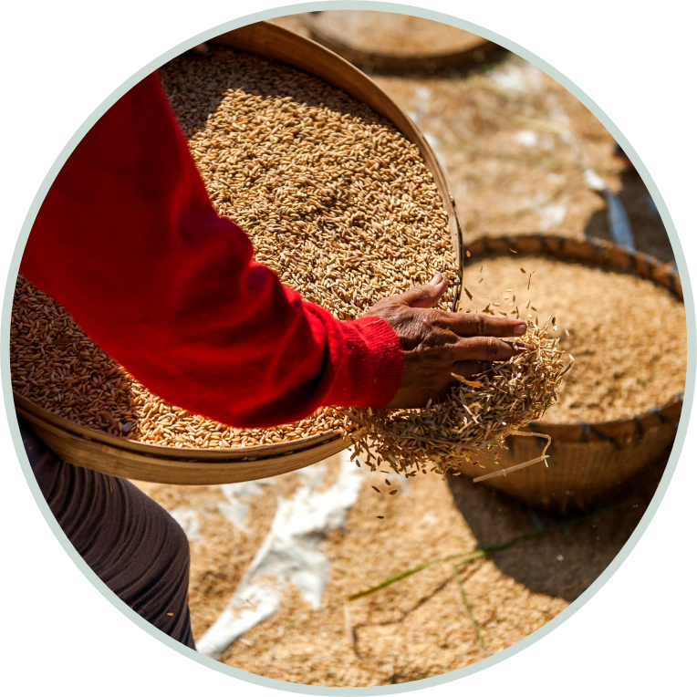 Food Systems Innovation Finance Facility Food Systems Innovation Finance Facility