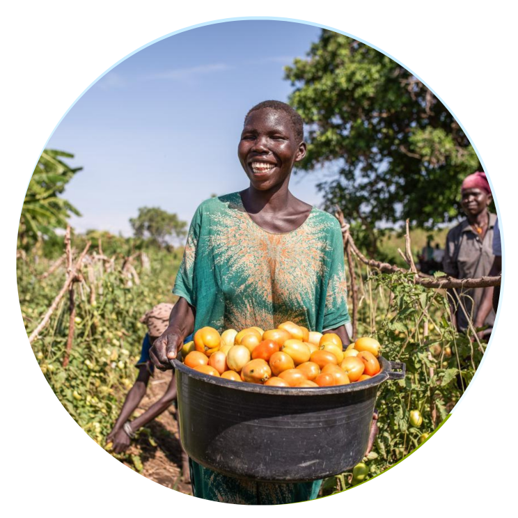 Bayer Foundation and the UN Capital Development Fund announce inaugural investments of the Food Systems Innovation Finance Facility in agri-businesses Omia and SokoFresh 