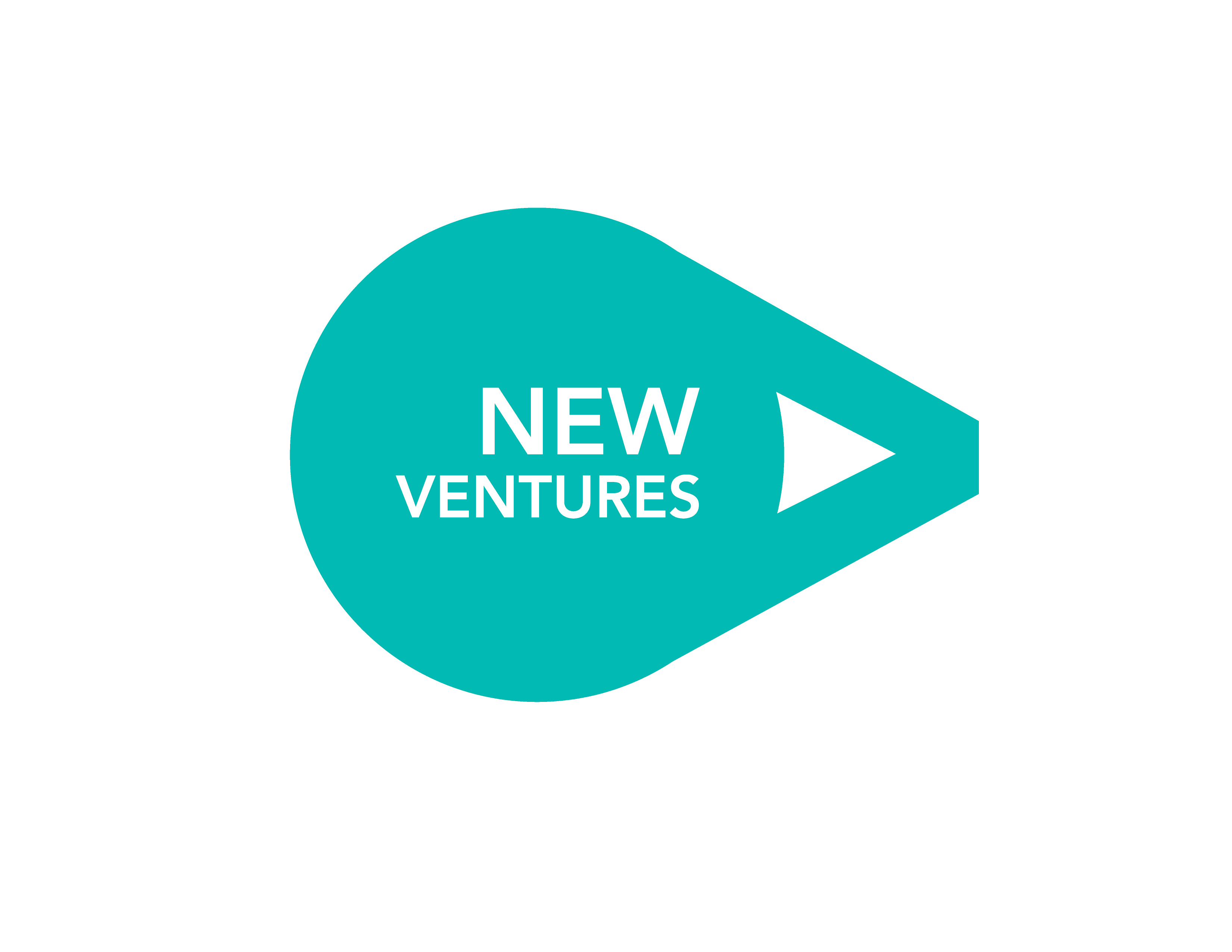 New Ventures 